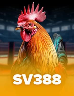 Sport 3